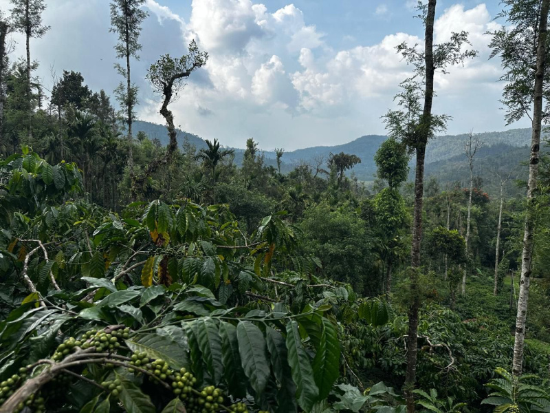 Coffee Crest Villa Plots gallery 3